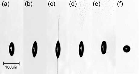 Images from falling drops forming an ellipse seen through a microscope at TU Illmenau